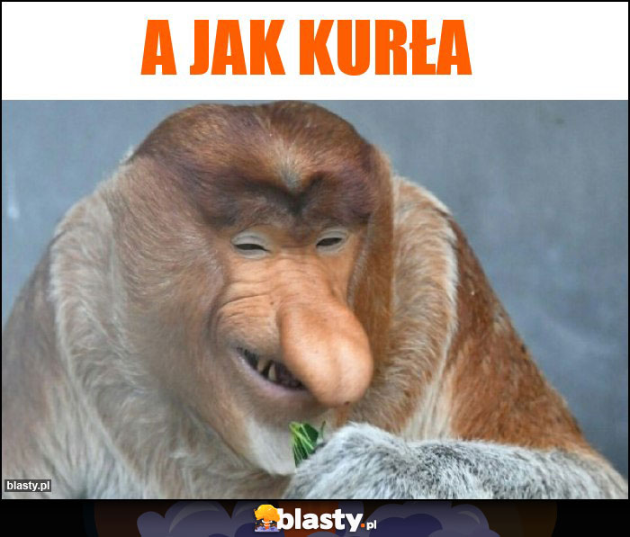 A jak kurła