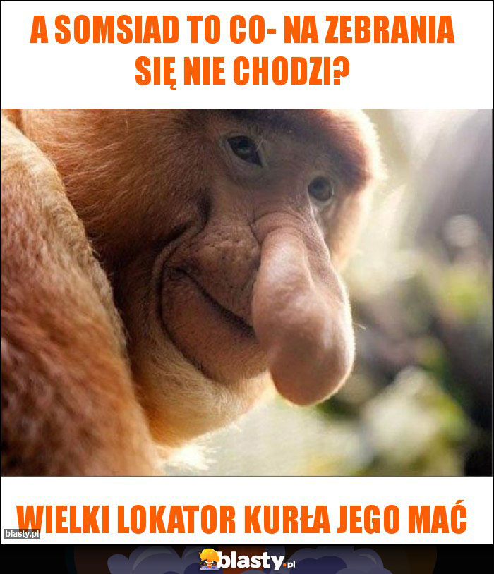 A somsiad to co- na zebrania się nie chodzi?