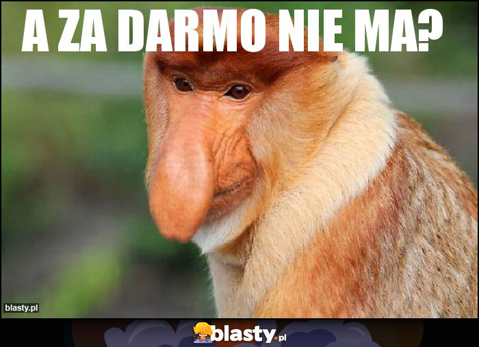 A ZA DARMO NIE MA?