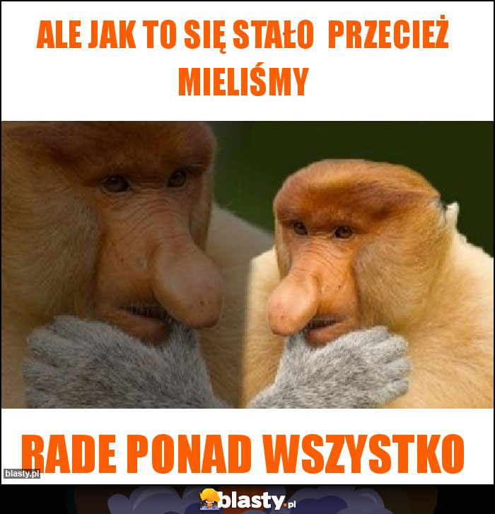 ALE JAK TO SIĘ STAŁO  PRZECIEŻ MIELIŚMY