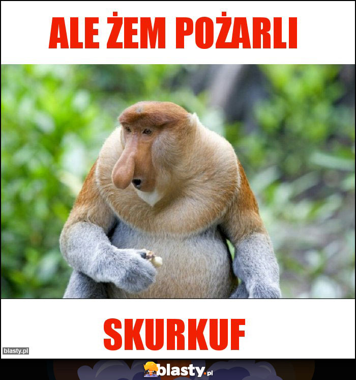 Ale żem pożarli