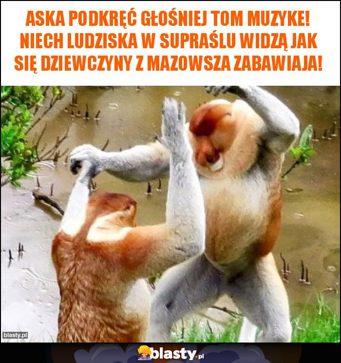 Aska podkręć głośniej tom muzyke! Niech ludziska w Supraślu widzą jak się dziewczyny z Mazowsza zabawiaja!