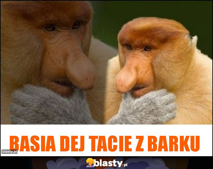 Basia dej tacie z barku