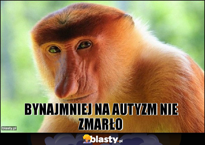 Bynajmniej na autyzm nie zmarło