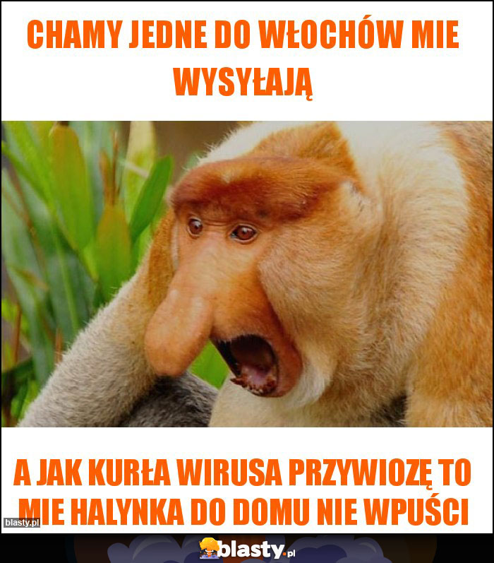 Chamy jedne do Włochów mie wysyłają