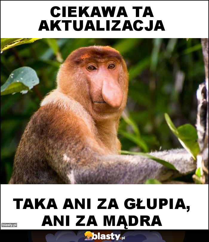 Ciekawa ta aktualizacja