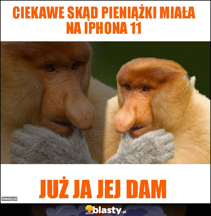 Ciekawe skąd pieniążki miała na iphona 11