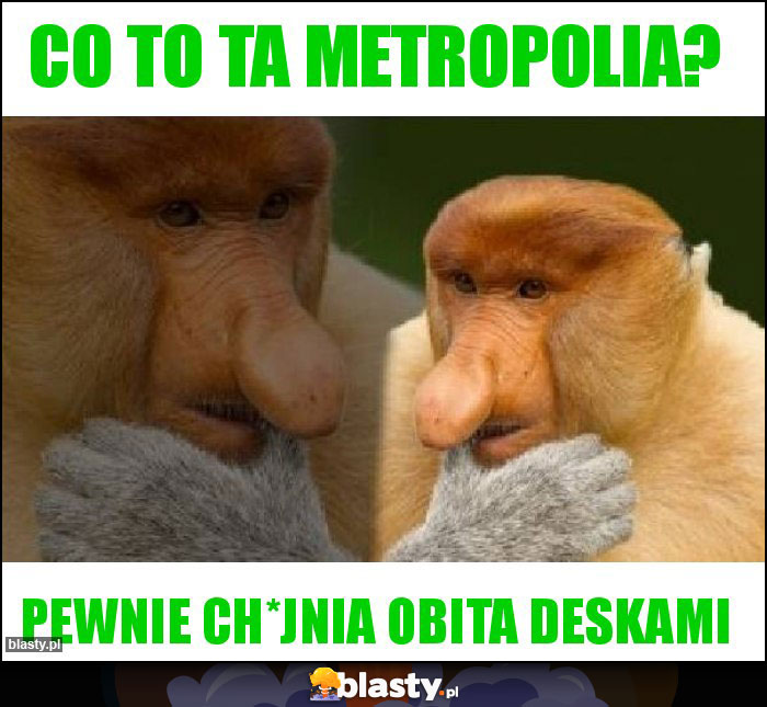 Co to ta metropolia?