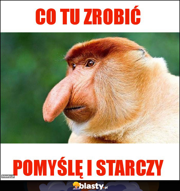 Co tu zrobić