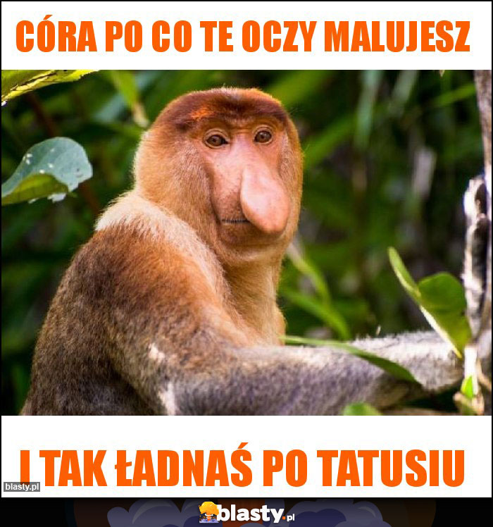 Córa po co te oczy malujesz