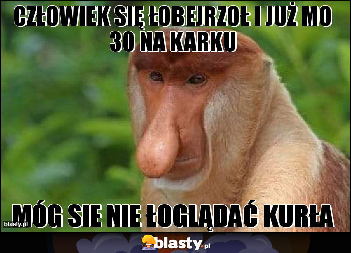 CZŁOWIEK SIĘ ŁOBEJRZOŁ I JUŻ MO 30 NA KARKU