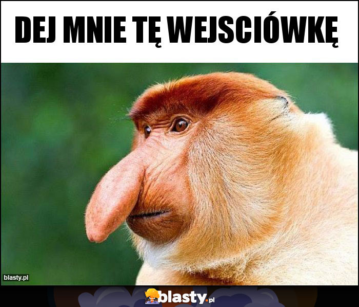 Dej mnie tę wejsciówkę