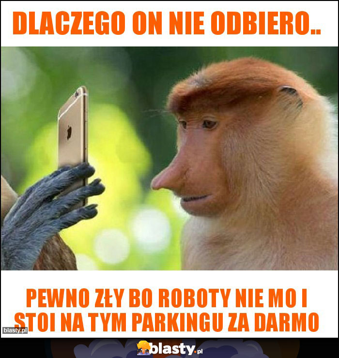 Dlaczego on nie odbiero..