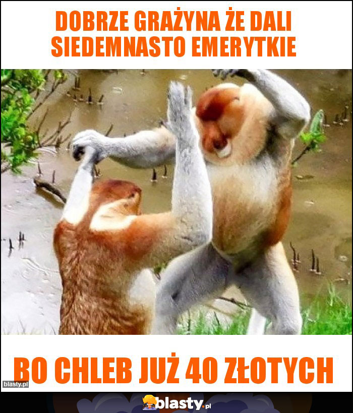 dobrze grażyna że dali siedemnasto emerytkie