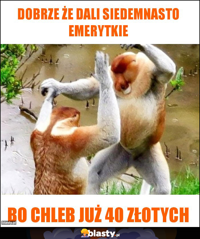 dobrze że dali siedemnasto emerytkie