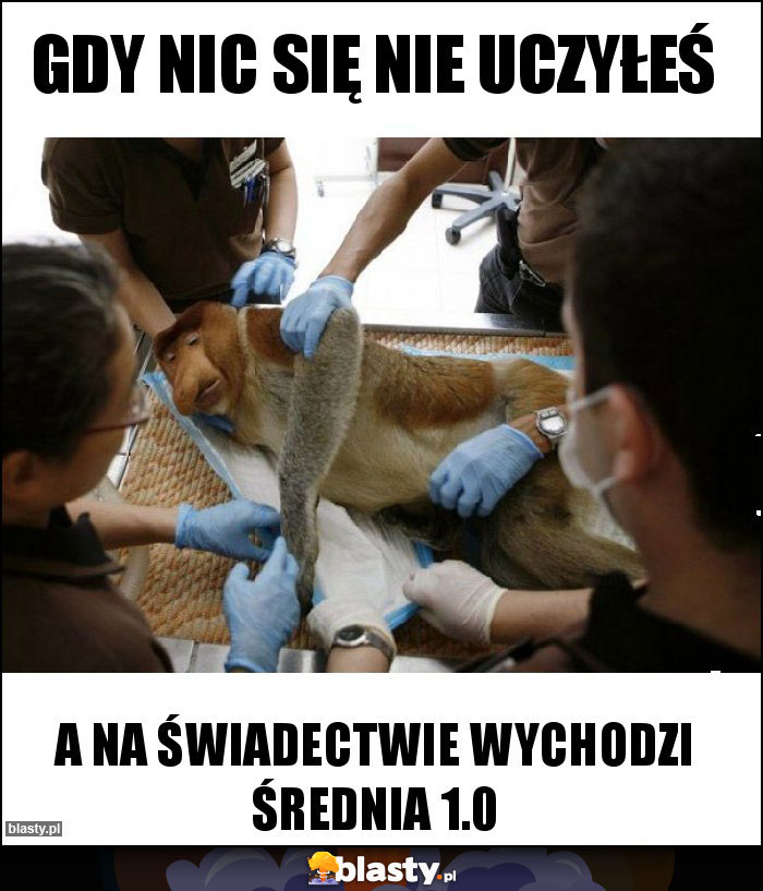 Gdy nic się nie uczyłeś