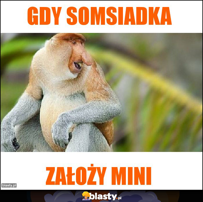 Gdy somsiadka