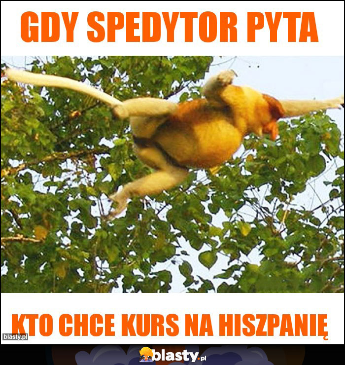 Gdy spedytor pyta