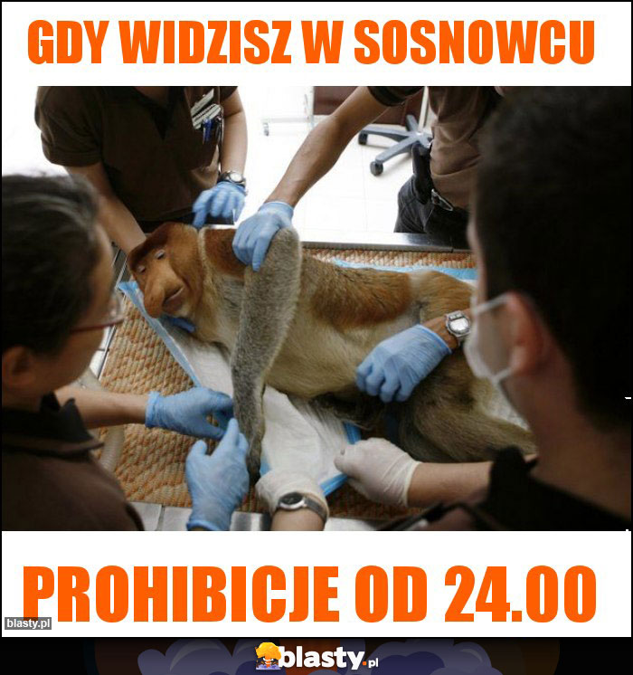 Gdy widzisz w Sosnowcu