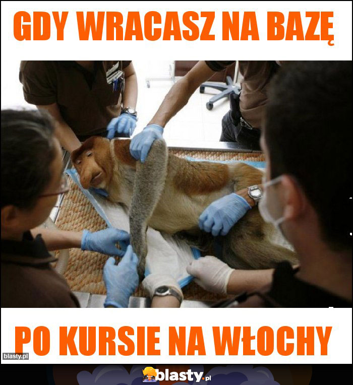 Gdy wracasz na bazę