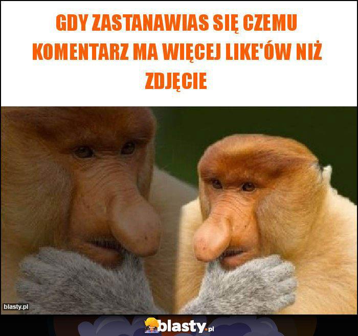 Gdy zastanawias się czemu komentarz ma więcej like'ów niż zdjęcie