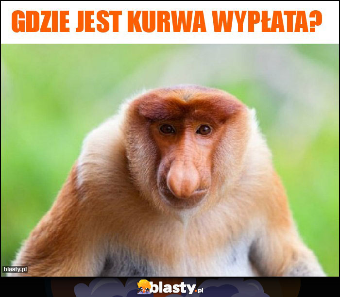 Gdzie jest kurwa wypłata?