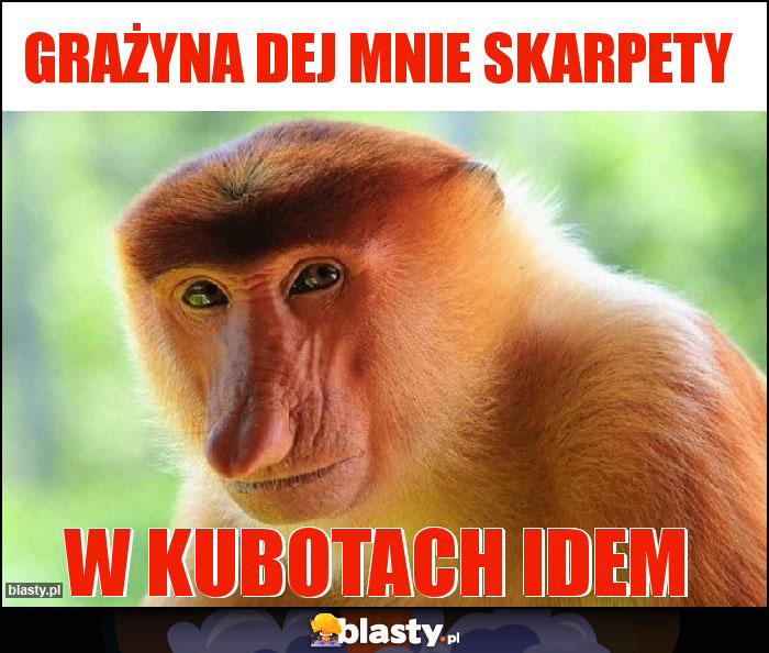 Grażyna dej mnie skarpety