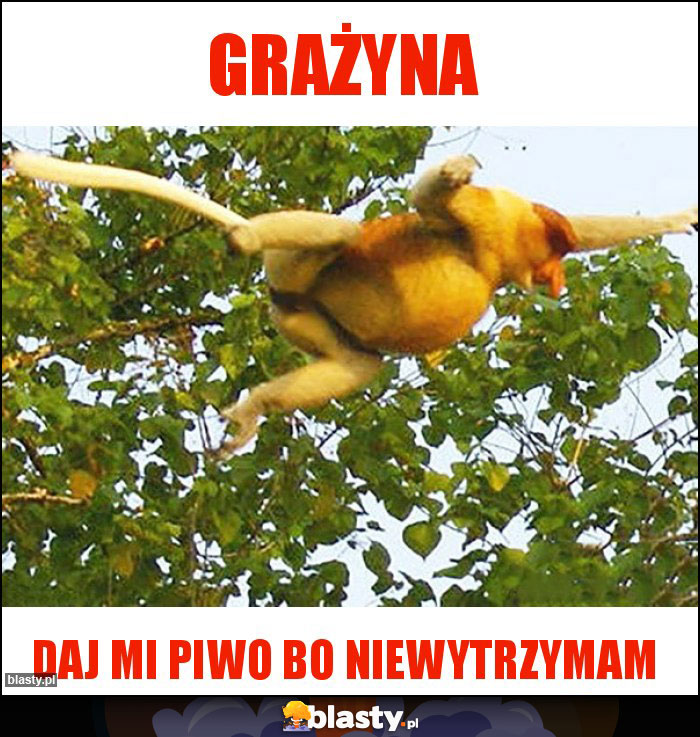 grażyna