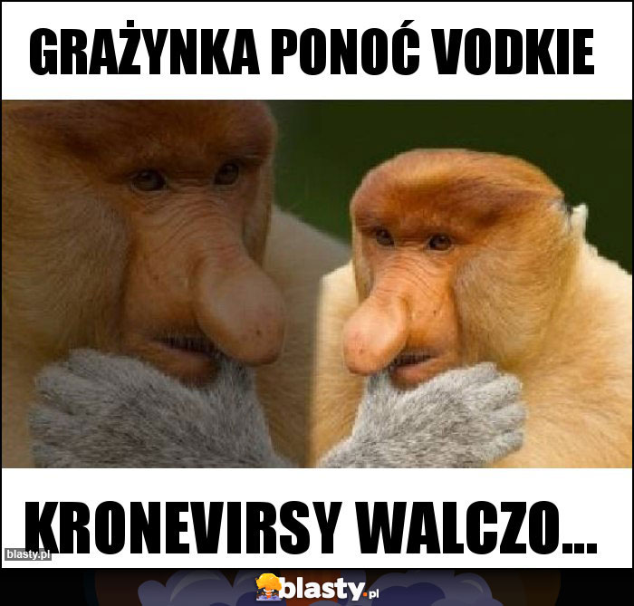 Grażynka ponoć vodkie