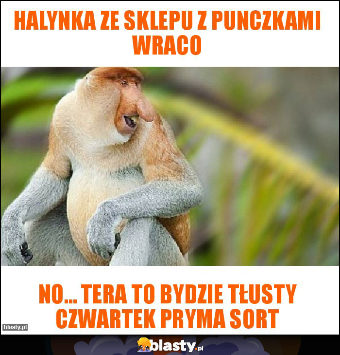 Halynka ze sklepu z punczkami wraco