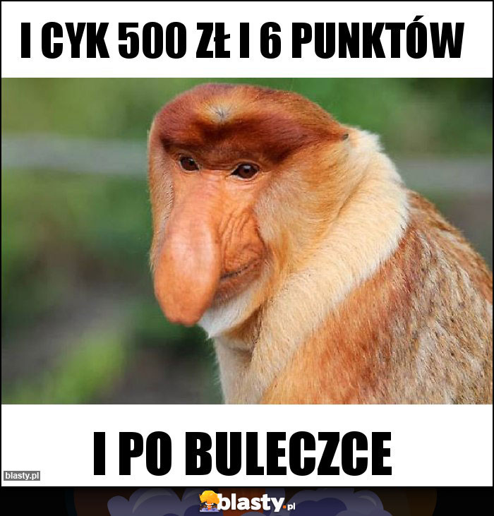 I cyk 500 zł i 6 punktów