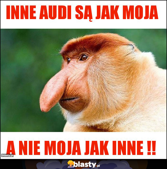 Inne audi są jak moja