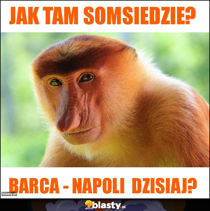 Jak tam somsiedzie?