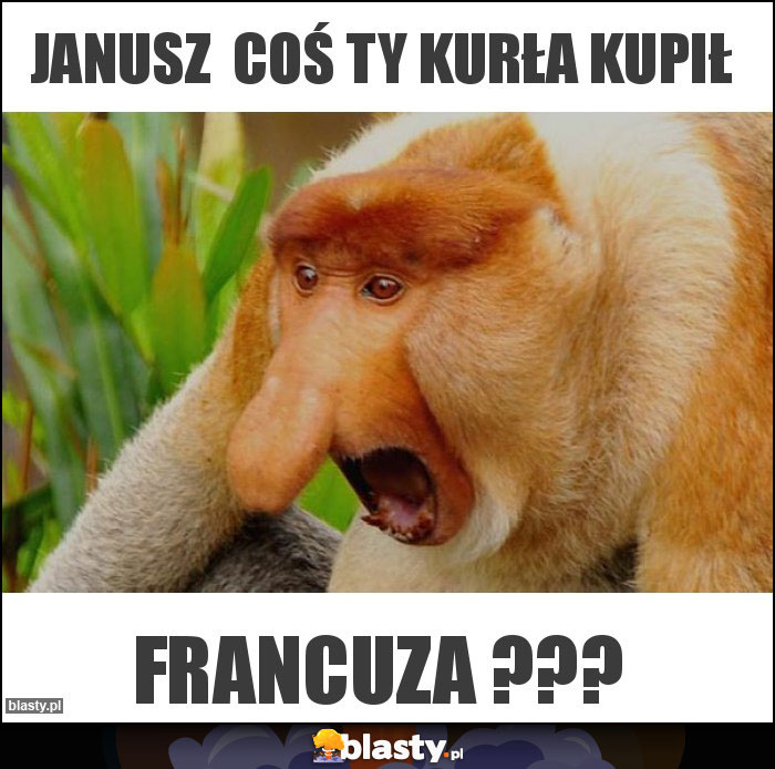 JANUSZ  COŚ TY KURŁA KUPIŁ