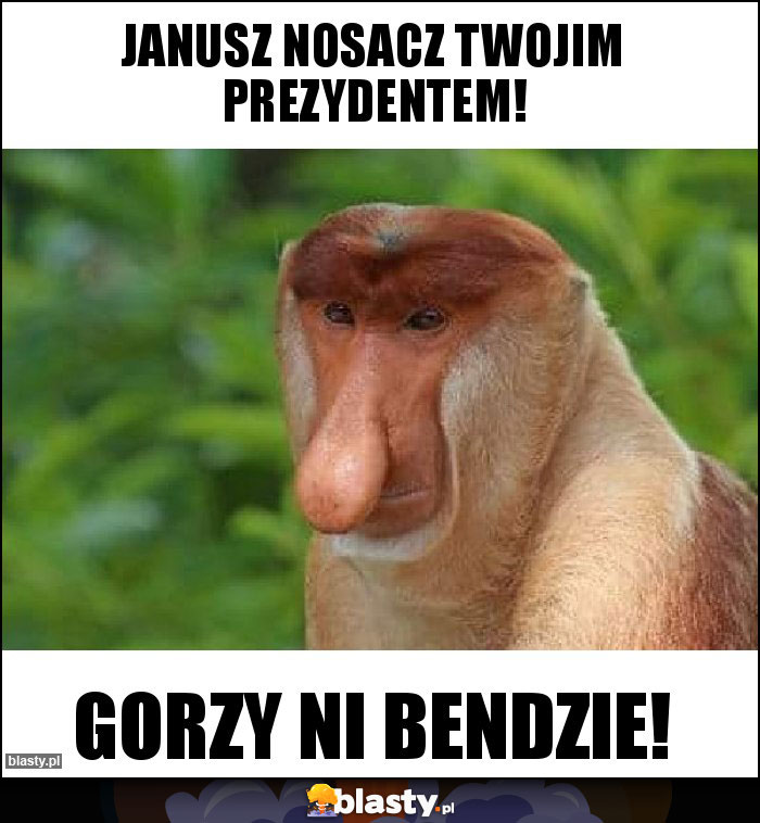 Janusz nosacz twojim prezydentem!