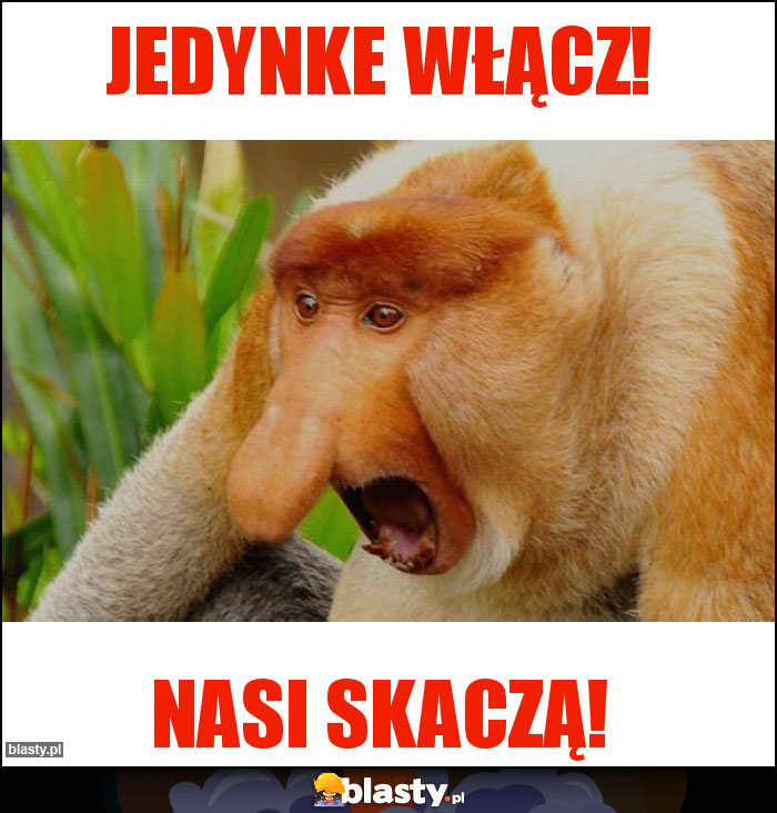 Jedynke włącz!