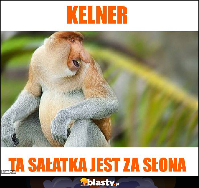 Kelner