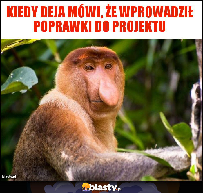 Kiedy deja mówi, że wprowadził poprawki do projektu