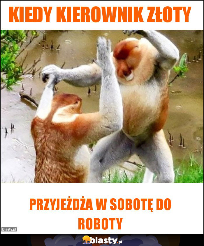 Kiedy kierownik złoty