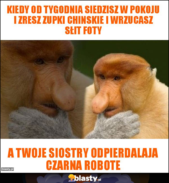 Kiedy od tygodnia siedzisz w pokoju i zresz zupki chinskie i wrzucasz słit foty