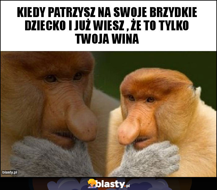 Kiedy patrzysz na swoje brzydkie dziecko i już wiesz , że to tylko twoja wina