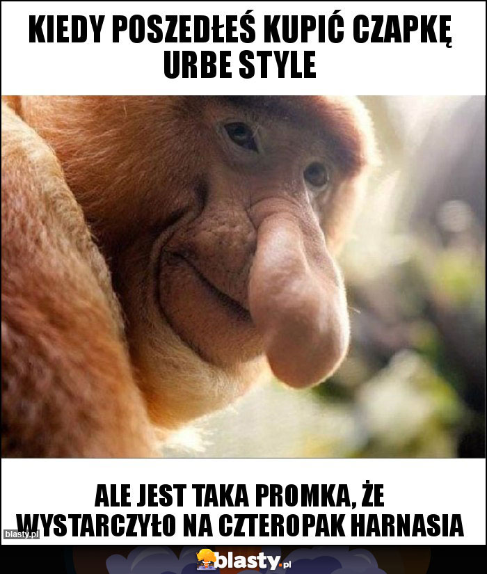 KIEDY POSZEDŁEŚ KUPIĆ CZAPKĘ URBE STYLE