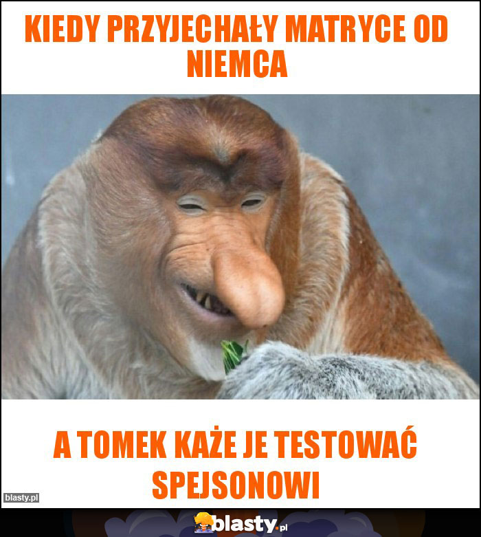 KIEDY PRZYJECHAŁY MATRYCE OD NIEMCA