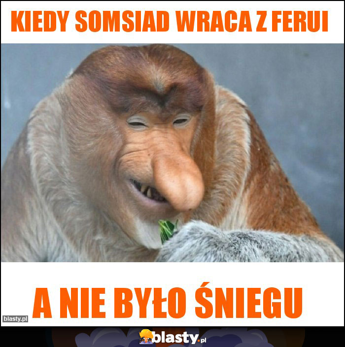 Kiedy somsiad wraca z ferui