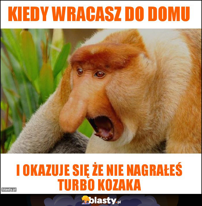 Kiedy wracasz do domu