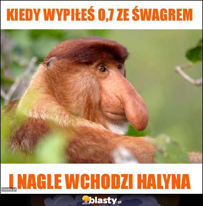 Kiedy wypiłeś 0,7 ze śwagrem