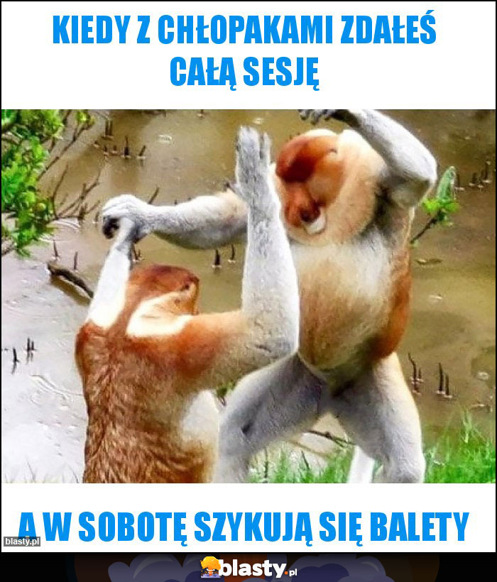 Kiedy z chłopakami zdałeś całą sesję