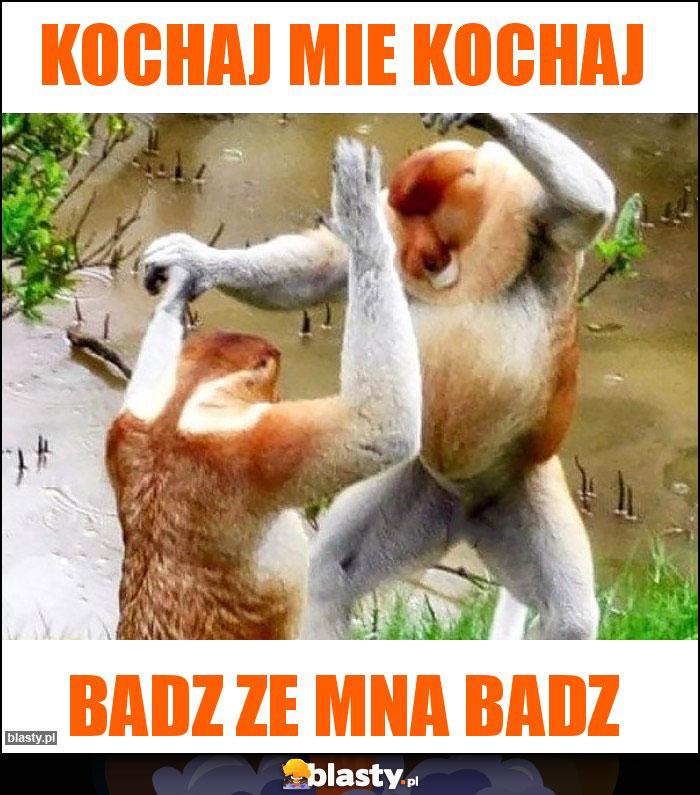 kochaj mie kochaj