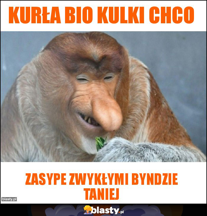 Kurła bio kulki chco