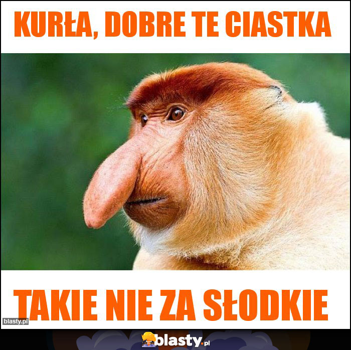 Kurła, dobre te ciastka